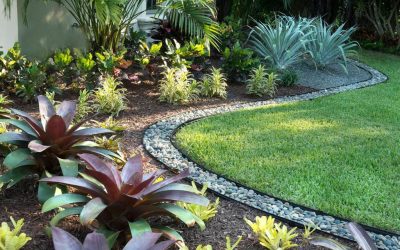 Low maintenance plants for Florida gardens