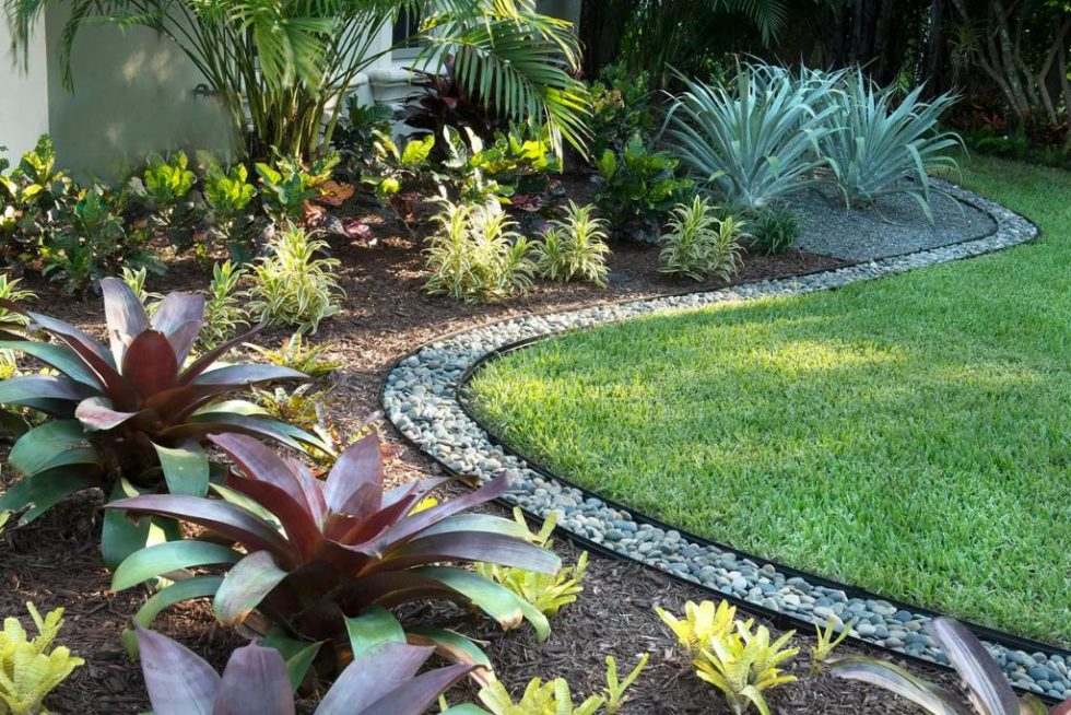 10 Stunning Low Maintenance Plants For Florida 10 Stunning Low Maintenance Plants For Florida