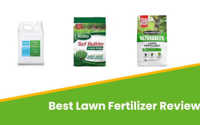 Best Lawn Fertilizer In Florida You Can Consider In 2023
